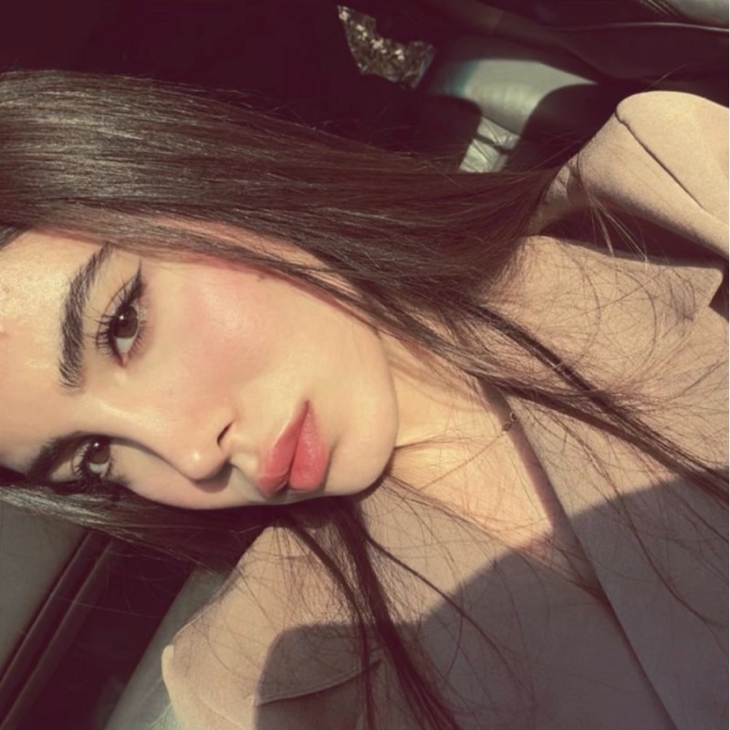 Alaa Al Arnaout